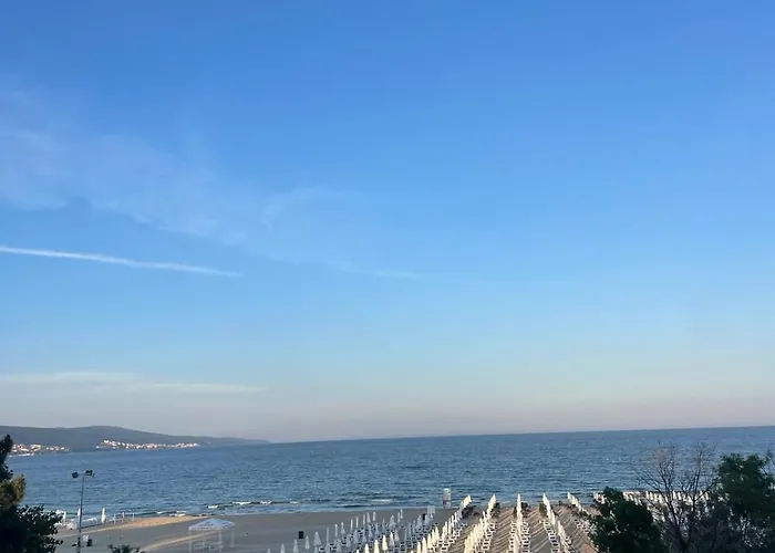 Gallery סאני ביץ'