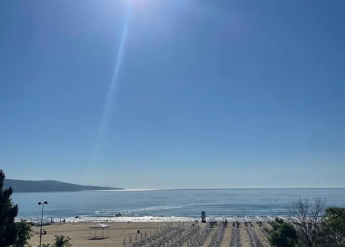 Gallery * סאני ביץ'