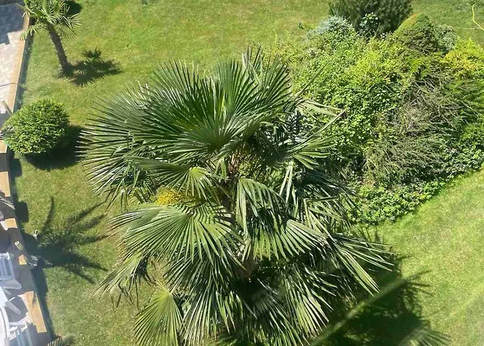 Διαμέρισμα Gallery *